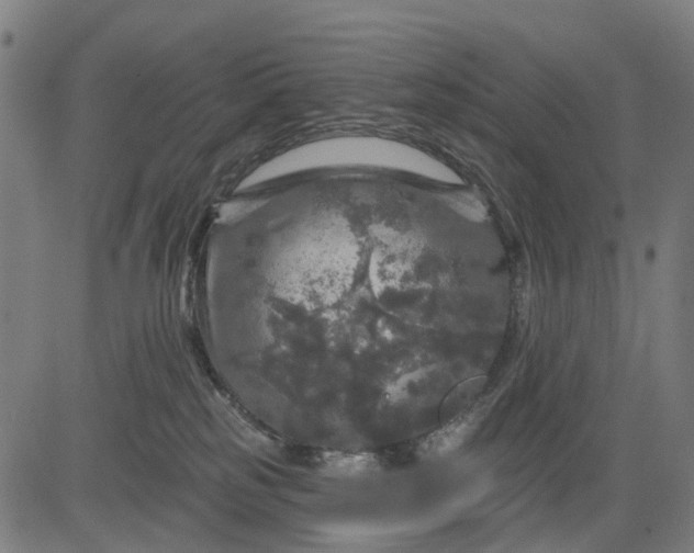 X0000084560185200703091754