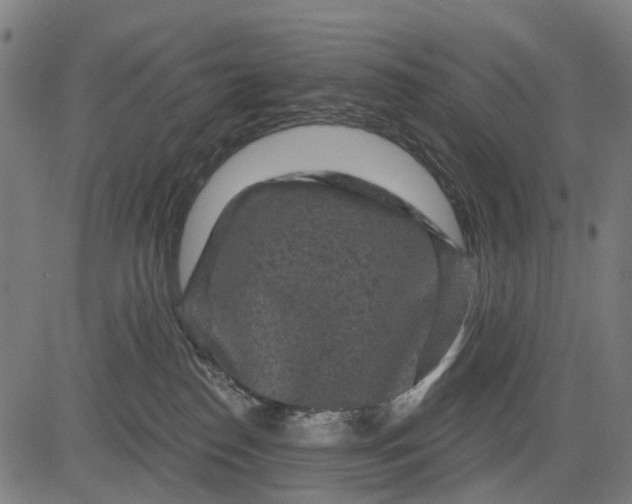 X0000084560186200703091754