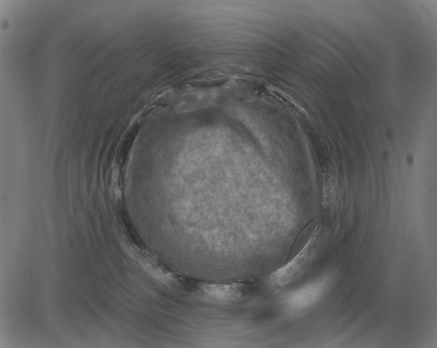 X0000084560187200703091754