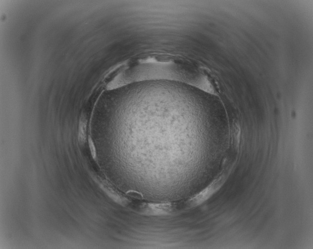 X0000084560188200703091754