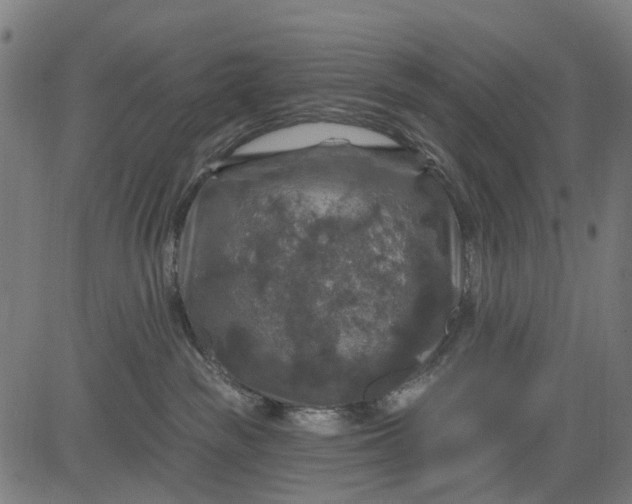 X0000084560189200703091754