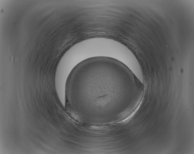 X0000084560190200703091754