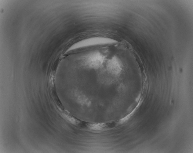 X0000084560191200703091754