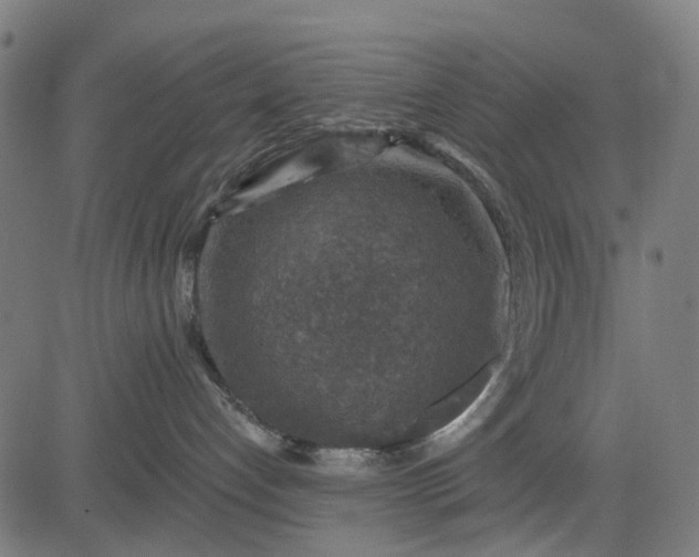 X0000084560192200703091755