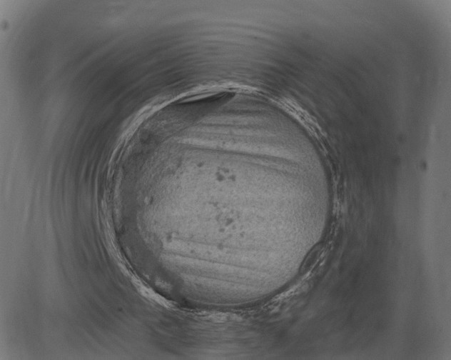 X0000084560193200703091754