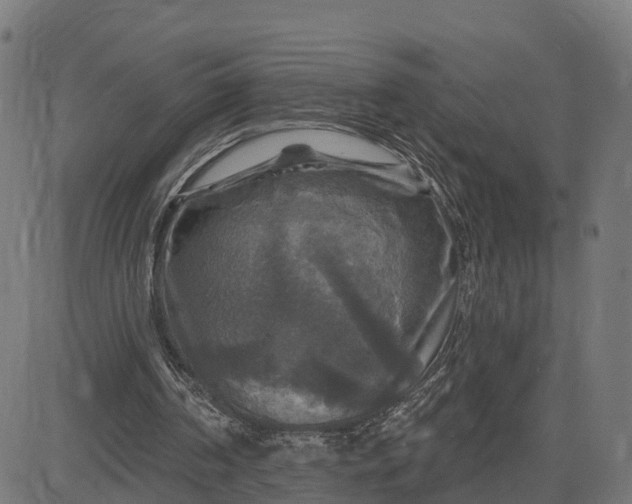 X0000084560194200703091754