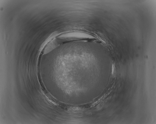 X0000084560195200703091754