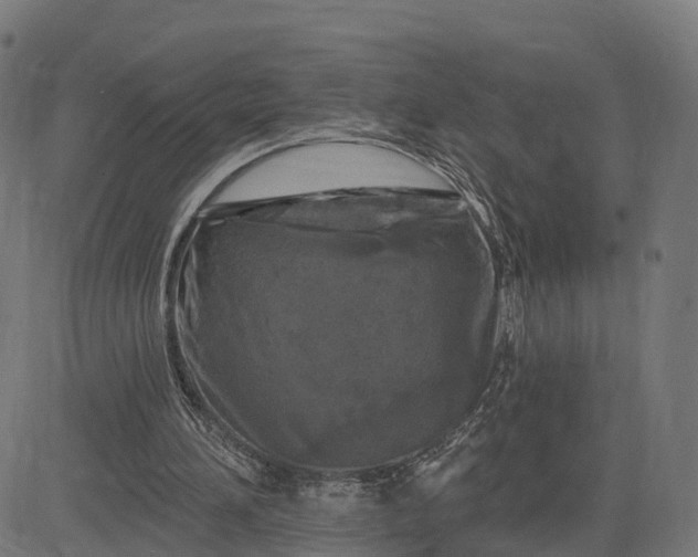 X0000084560196200703091754