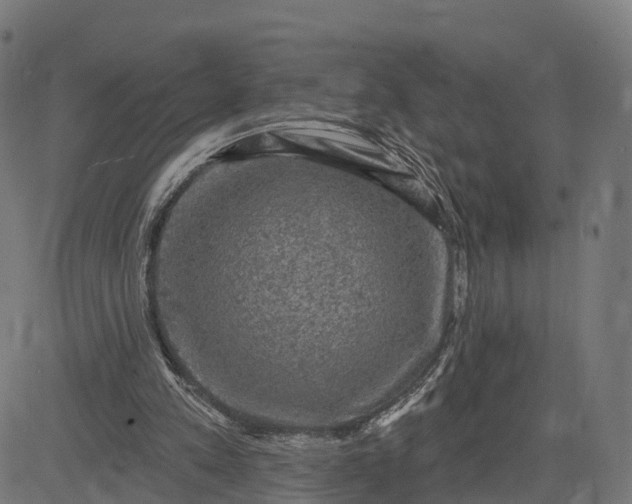 X0000084560197200703091754