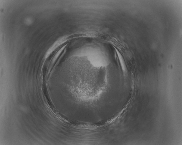 X0000084560198200703091754