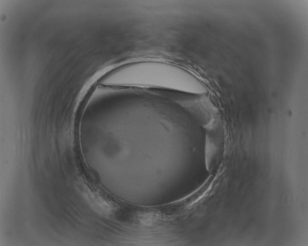 X0000084560200200703091754