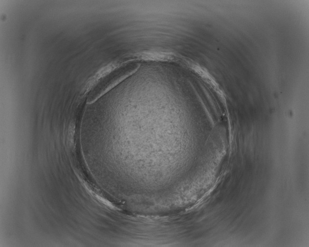 X0000084560201200703091754