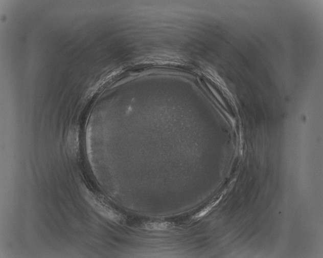 X0000084560202200703091754