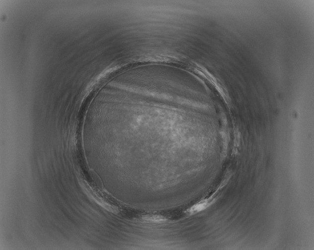 X0000084560203200703091754