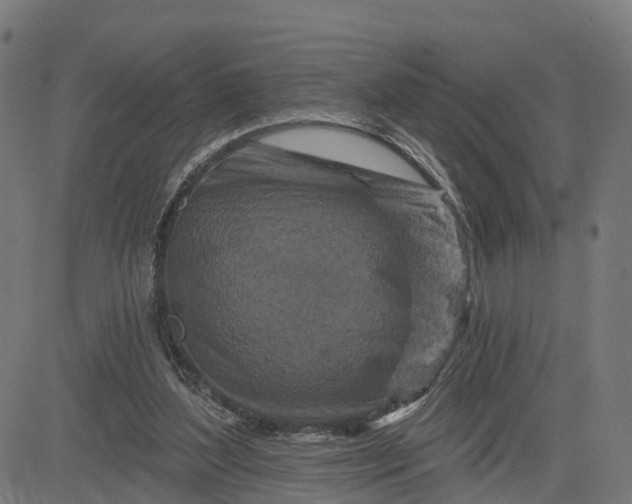 X0000084560204200703091754