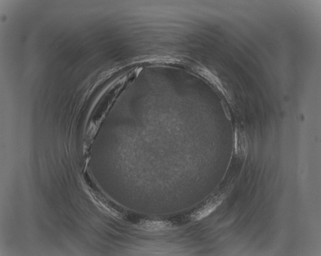 X0000084560205200703091754