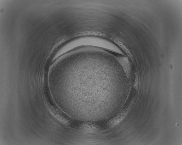 X0000084560207200703091753