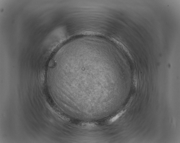 X0000084560208200703091753