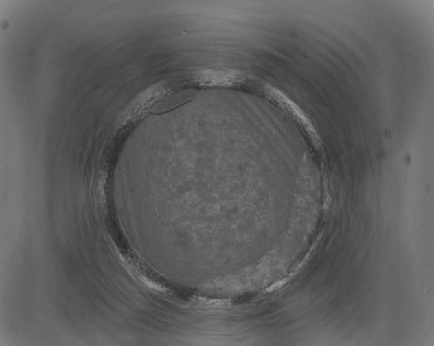 X0000084560209200703091753