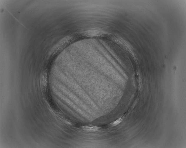 X0000084560210200703091753