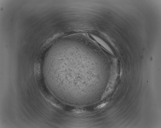 X0000084560211200703091753