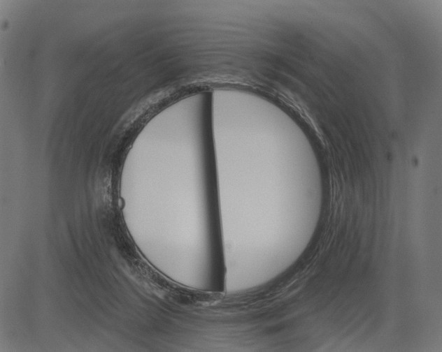 X0000084560212200703091753