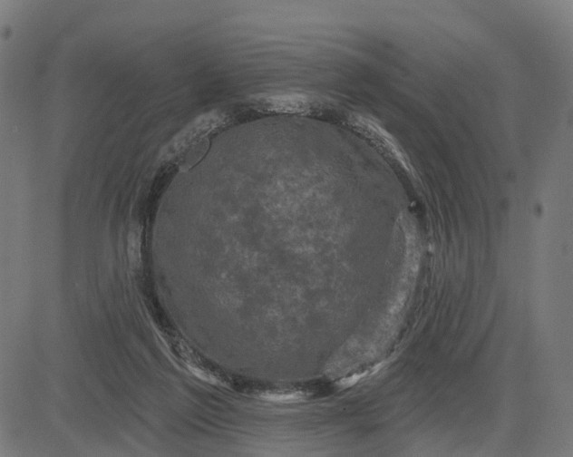 X0000084560213200703091753