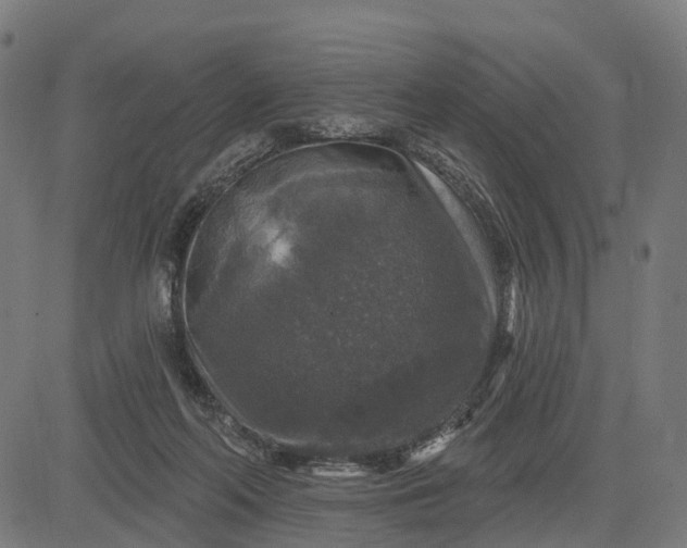 X0000084560214200703091753