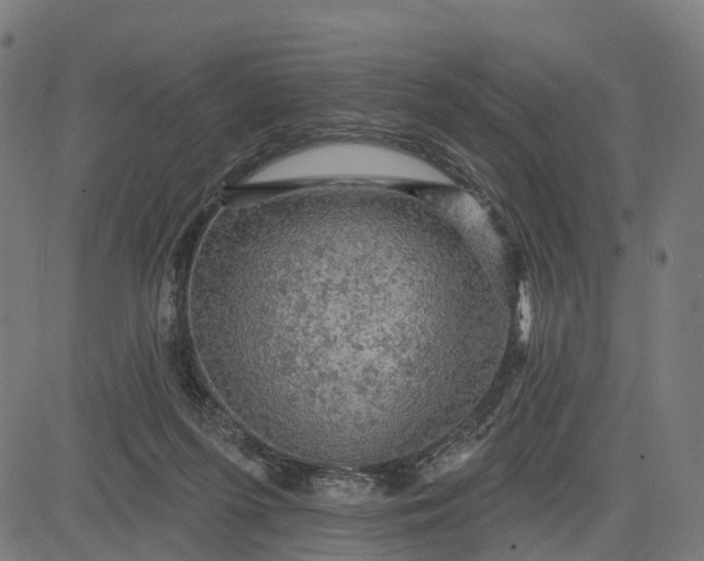 X0000084560215200703091753