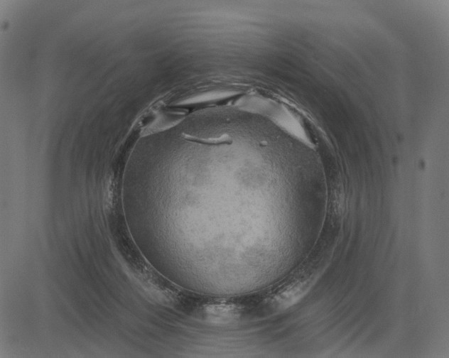 X0000084560216200703091753