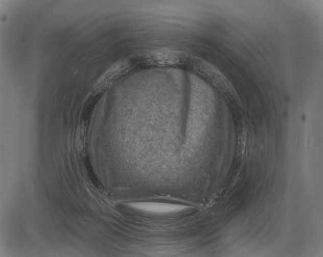 X0000084560218200703091753