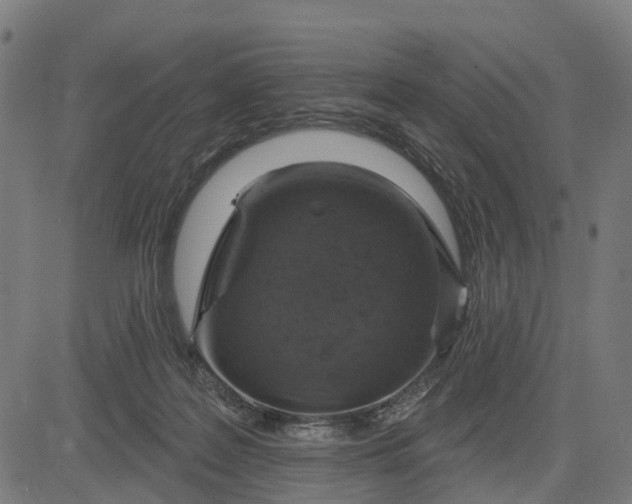 X0000084560219200703091753