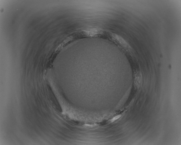 X0000084560221200703091753