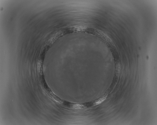 X0000084560222200703091753