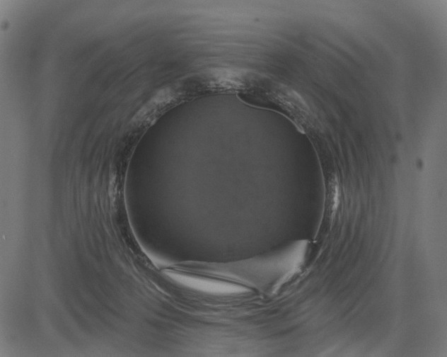 X0000084560223200703091753