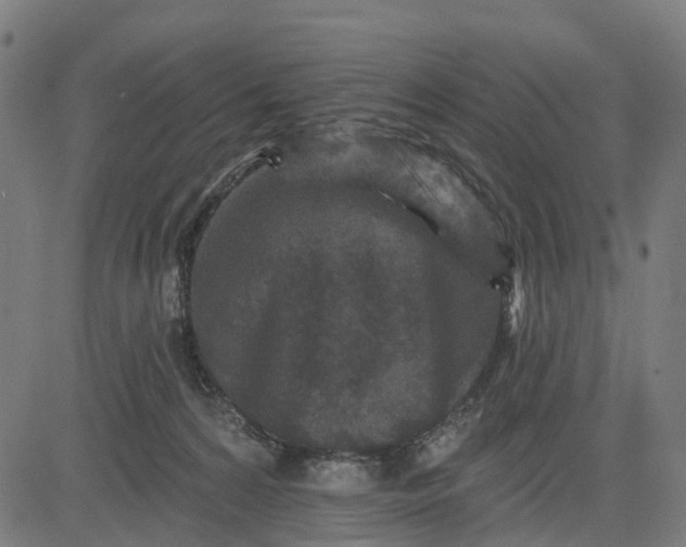 X0000084560224200703091753