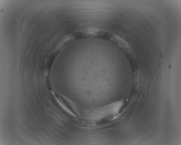 X0000084560225200703091753