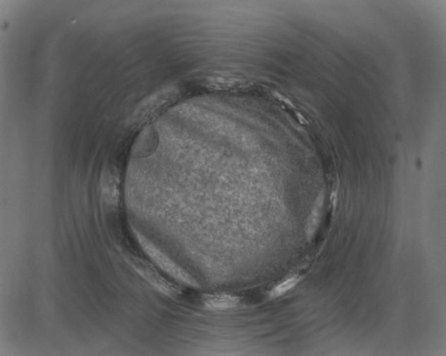 X0000084560226200703091753