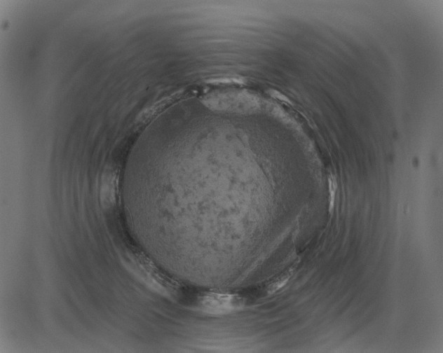 X0000084560227200703091753