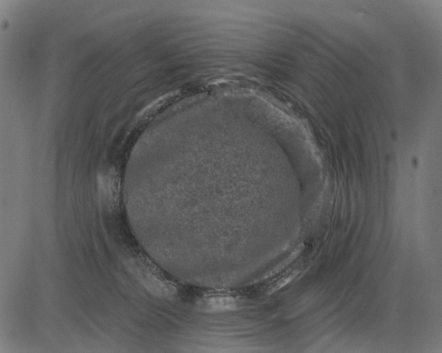 X0000084560228200703091753