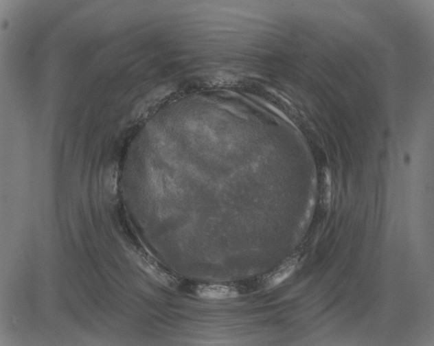 X0000084560230200703091753