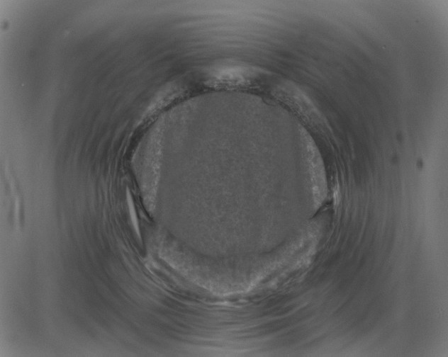 X0000084560232200703091753