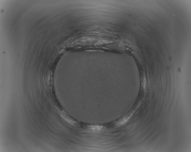 X0000084560233200703091753