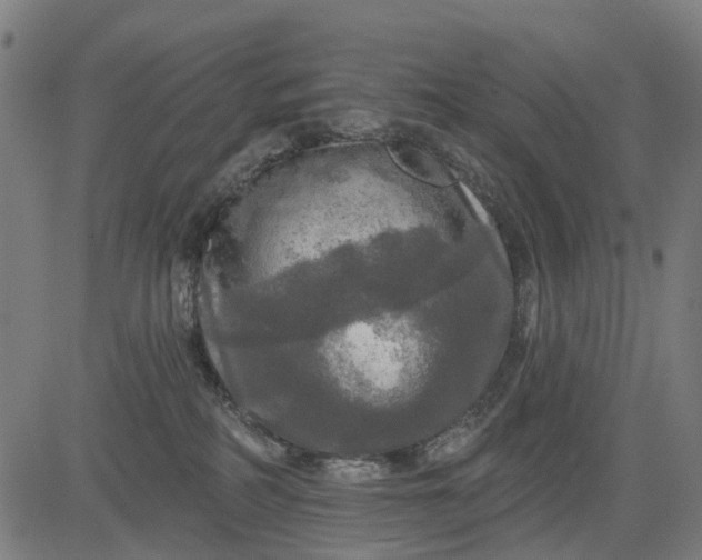 X0000084560234200703091753