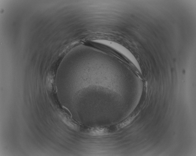 X0000084560235200703091753