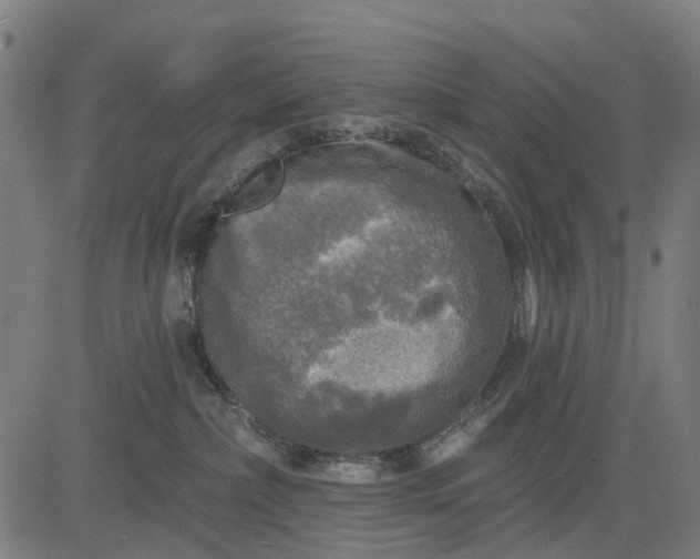 X0000084560236200703091753