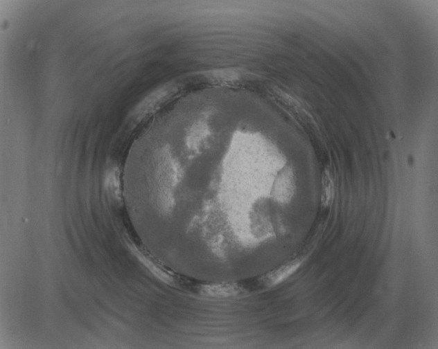 X0000084560238200703091753