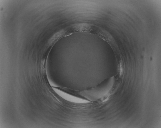 X0000084560239200703091753