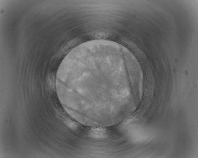 X0000084560240200703091753