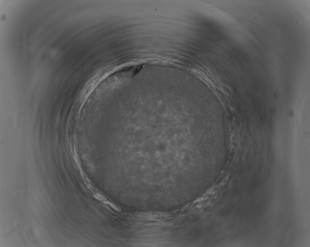 X0000084560241200703091752